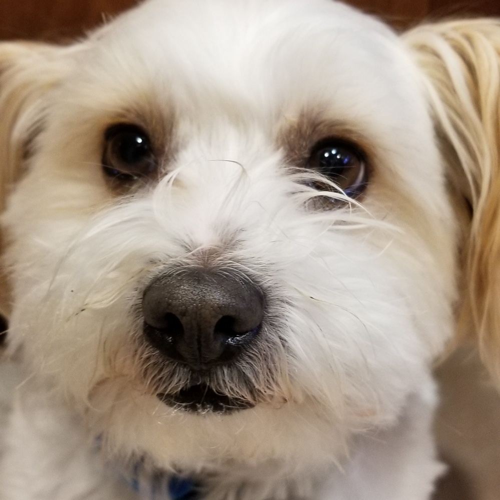 Meet your Posher, Marnie
